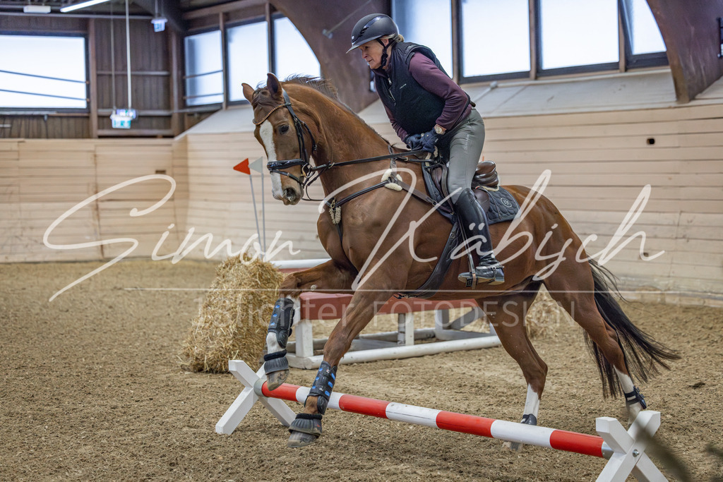 20260221-_3LI8285 | Tierfotografie Pferde, Hunde, Katzen, Haustiere.
Turnierfotografie Reitturniere, Reiten, Springreiten, Dressur in Hanau, dem Main-Kinzig-Kreis und dem Rhein-Main- Gebiet um Frankfurt