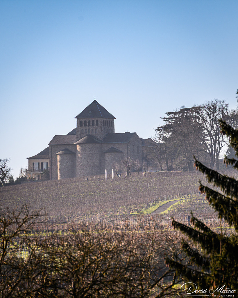 DSC_9131 2 | Fotografien, Fotos und Bilder aus Mainz, Frankfurt, Wiesbaden und anderen Orten auf der Welt - Fotografiert von Darius Metzner