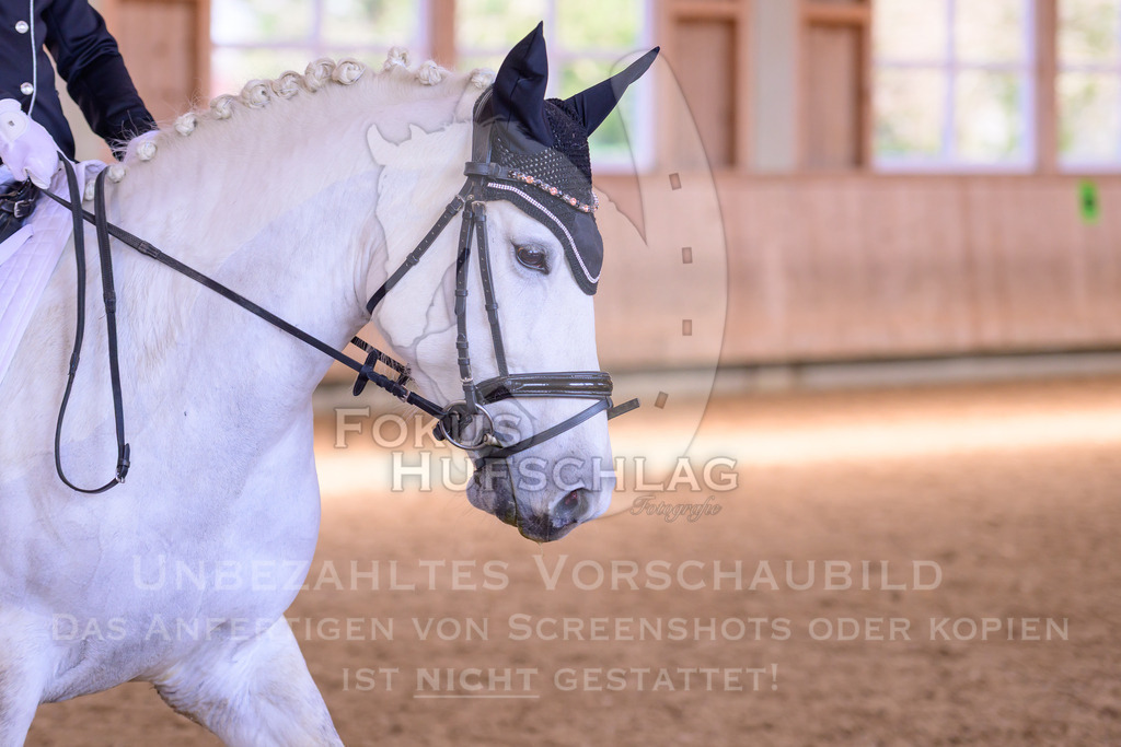 11042026-Mammendorf-Prfg27-0770 | Fokus Hufschlag Fotografie - Realisiert mit Pictrs.com