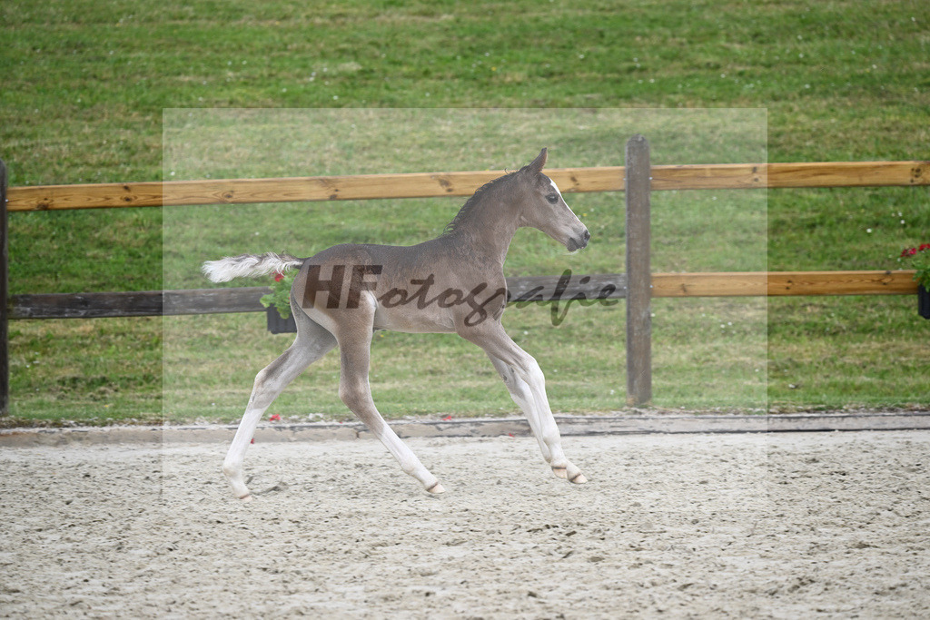 Kat-Nr. 59 HF Esquin White_Kaehler_17231398 | hf-fotografie - Realizzato con Pictrs.com