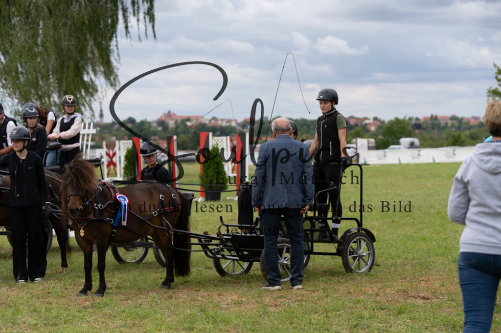 A7V06184 | Pferdefotograf