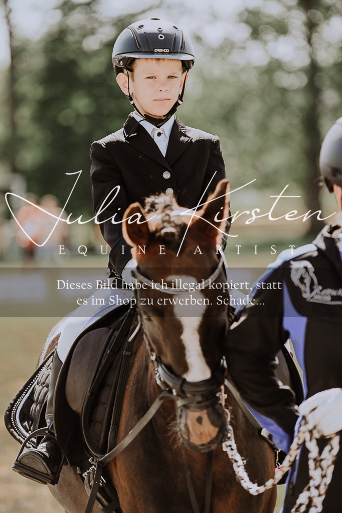 DSC_7978 | Pferde- und Turnierfotografie in Westsachsen. Pferdeportraits, Auftragszeichnungen und intuitive Kunst.