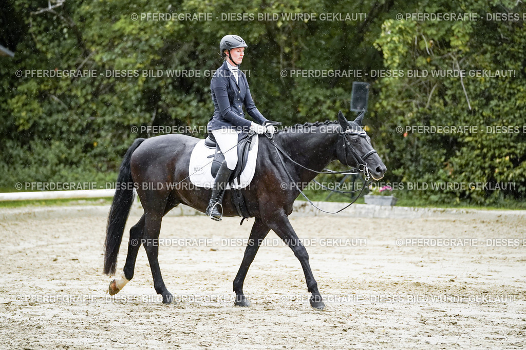 DSC00170 | Pferdegrafie