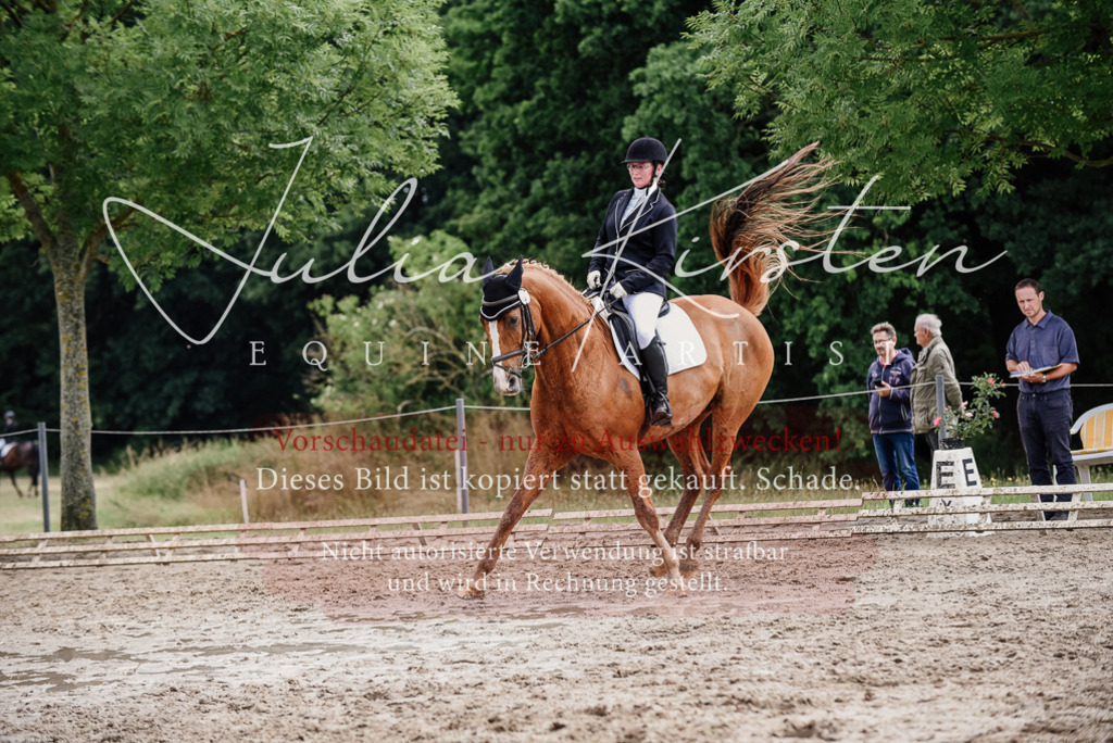 DSC_0690 | Pferde- und Turnierfotografie in Westsachsen. Pferdeportraits, Auftragszeichnungen und intuitive Kunst.