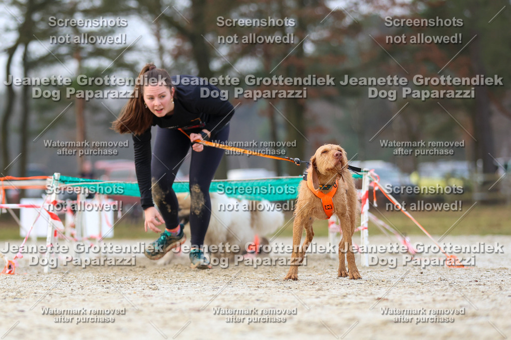 Dog Paparazzi - Strongdog North Mrz26-3686 | Dog Paparazzi Jeanette Grottendiek Fotografie & Videografie - Realisiert mit Pictrs.com