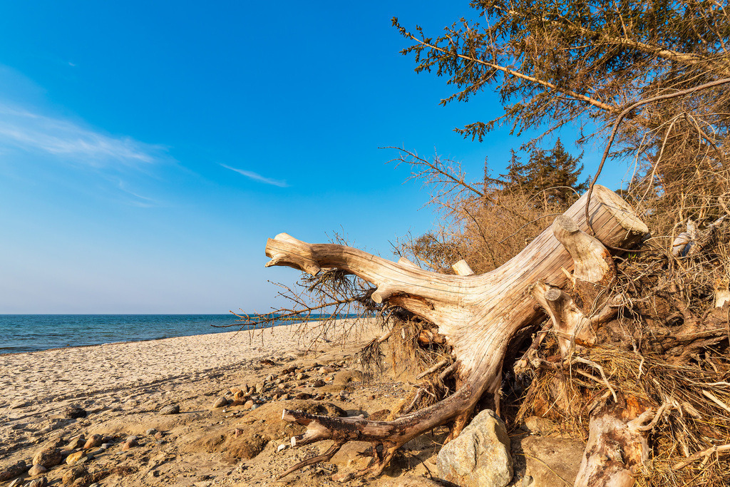 Strand an der Küste der Ostsee bei Graal Müritz | Strand an der Küste der Ostsee bei Graal Müritz.