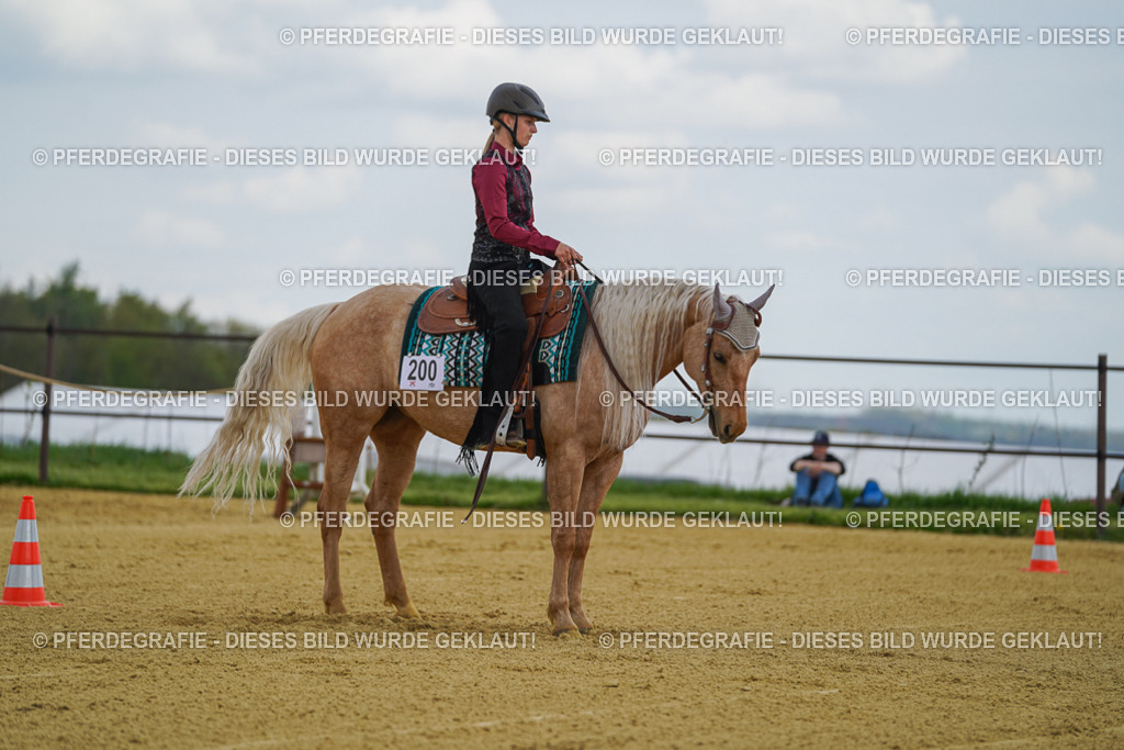 DSC05729 | Pferdegrafie