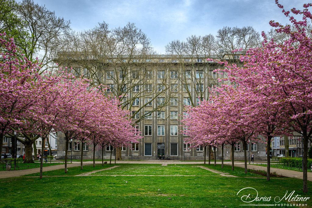 Mainzer Neustadt | Bilder aus der Mainzer Neustadt