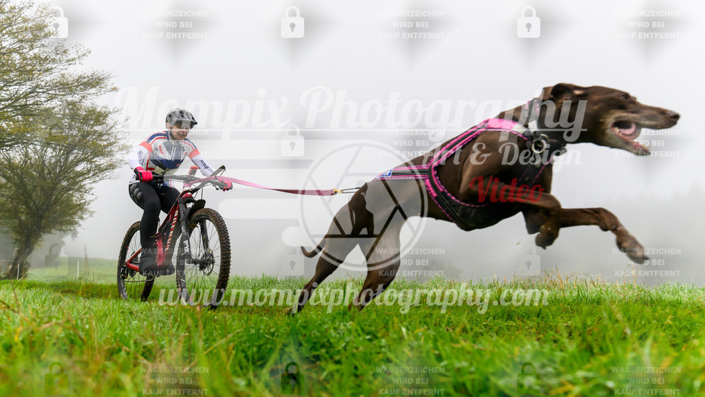 MompixPhotography_20TSB_E5_Bike-26 | PayLife