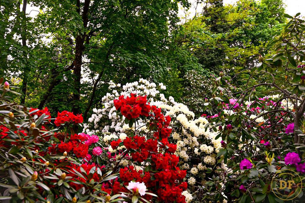 15.2_DSC8274 | Geschenke, Wandbilder und Accessoires mit Motiven aus Dresden und anderen schönen Orten zur Verschönerung Deines zu Hauses und zum verschenken gewünscht? Wähle Deine Lieblingsbild auf dem Produkt Deiner Wahl. 