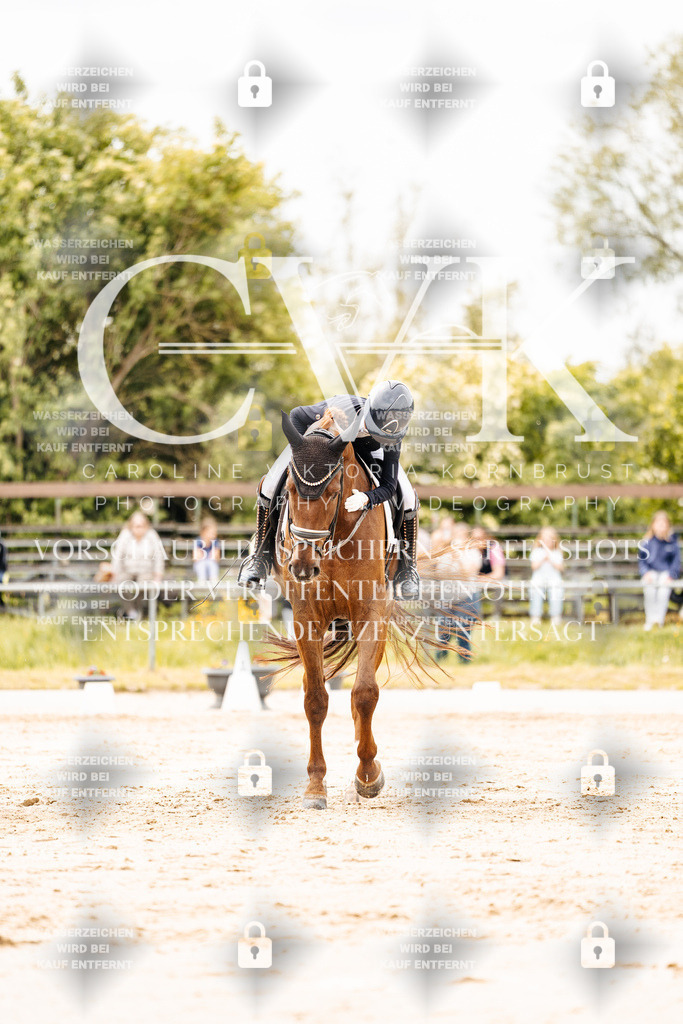 CK902899 | Turnierfotografie Pferdefotografie Trier Rheinland-Pfalz Pferdesport Reitsport Tierfotografie Sportfotografie Pferdevideo Pferdevideografie Equestrianvideography equestrianphotography  - Realisiert mit Pictrs.com