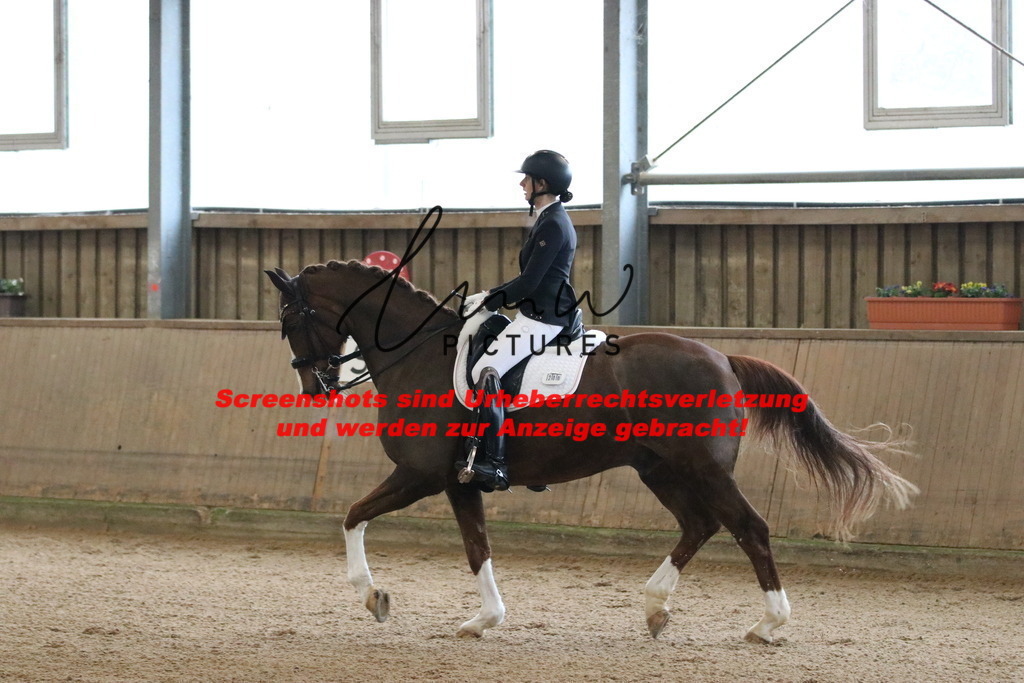 IMG_9246 | lmwpictures - Realisiert mit Pictrs.com