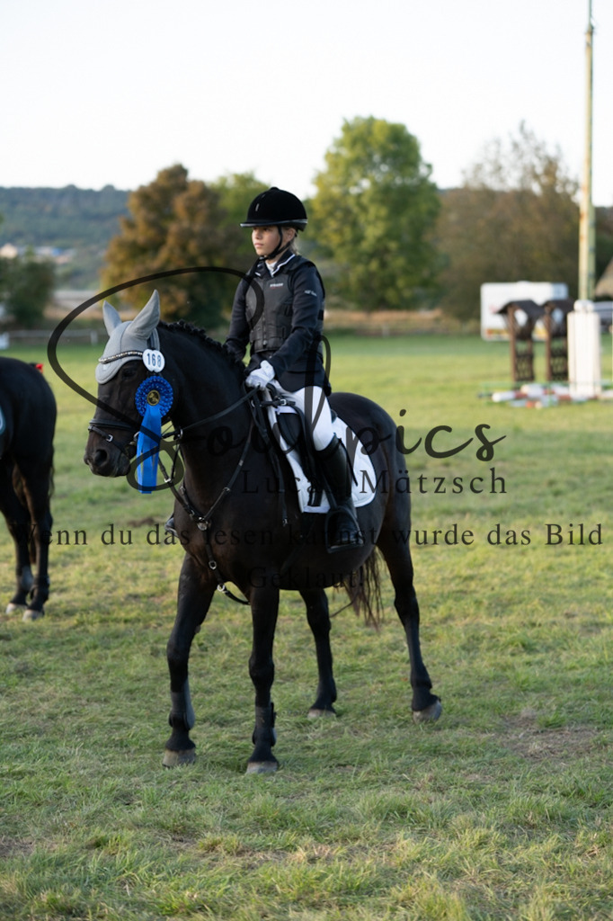 A7V04807 | Pferdefotograf