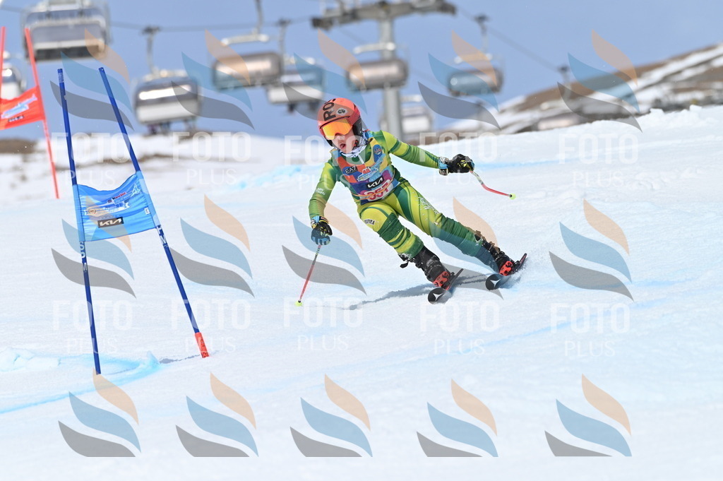 BGV_3779 | holidayphoto