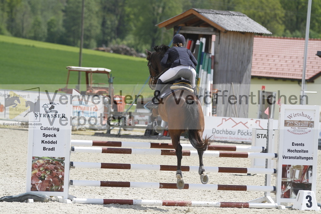 _MG_2085 | equestrian-live-com