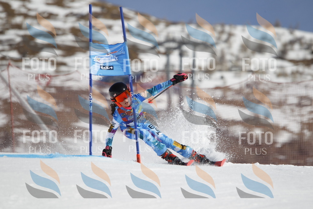 _U3G9953 | holidayphoto