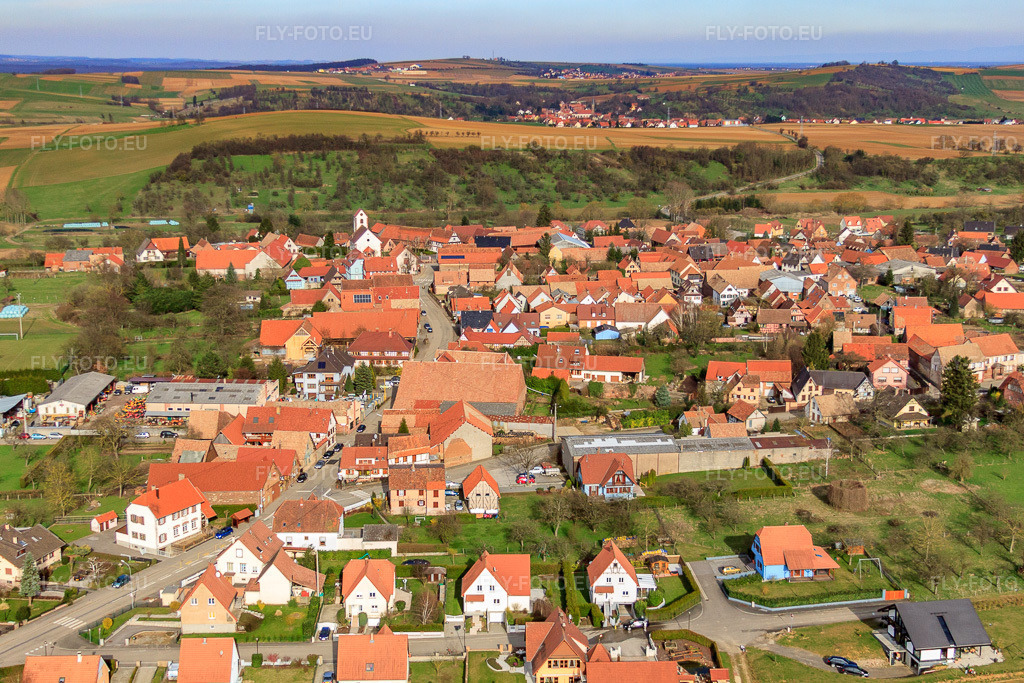 Vue aérienne: Vue de la ville depuis l'ouest à Ringendorf dans le département Bas Rhin, France – .Photo: IMG_38603.jpg prise le 20/03/2011 par Werner Riehm/FLY-FOTO.eu – Résolution de l'original: 4638 x 3092 px