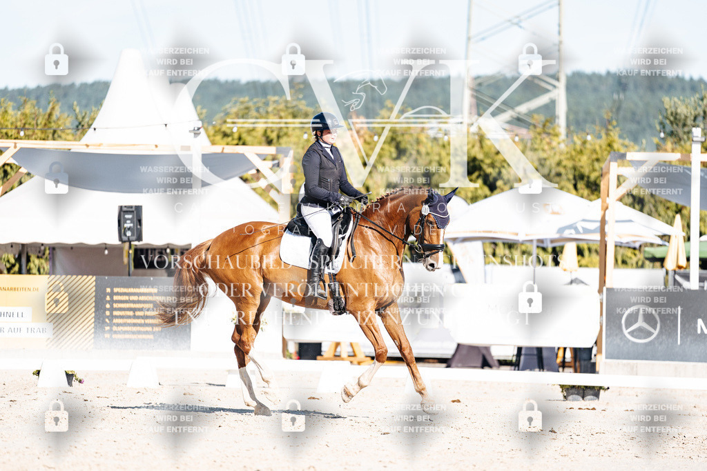 CK907724 | Turnierfotografie Pferdefotografie Trier Rheinland-Pfalz Pferdesport Reitsport Tierfotografie Sportfotografie Pferdevideo Pferdevideografie Equestrianvideography equestrianphotography  - Realisiert mit Pictrs.com