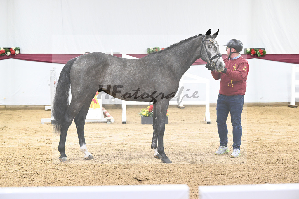 Kat-Nr. 72 Chacoon Blue x Contagio_Matthias Schlamminger GmbH_47252931 | hf-fotografie - Realisiert mit Pictrs.com