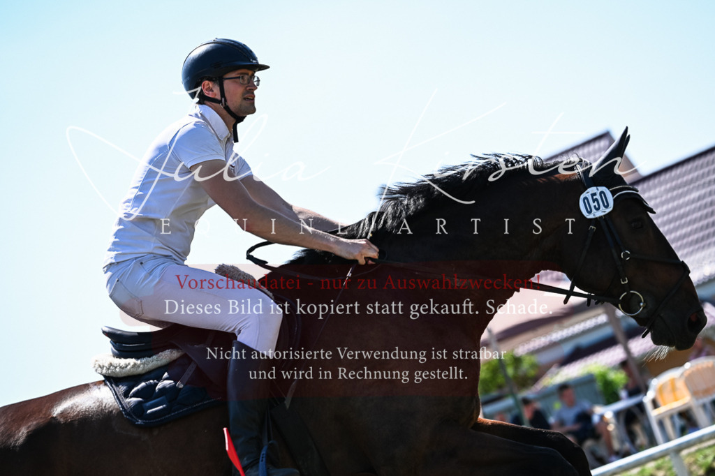 DSC_1234 | Pferde- und Turnierfotografie in Westsachsen. Pferdeportraits, Auftragszeichnungen und intuitive Kunst.