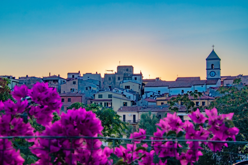 Blooming Dusk over Elba | As the sun sets behind the rooftops of Elba, warm light washes over the hillside town while vibrant bougainvillea blooms frame the view. A quiet, poetic moment where color, light, and Mediterranean life come together in gentle harmony.