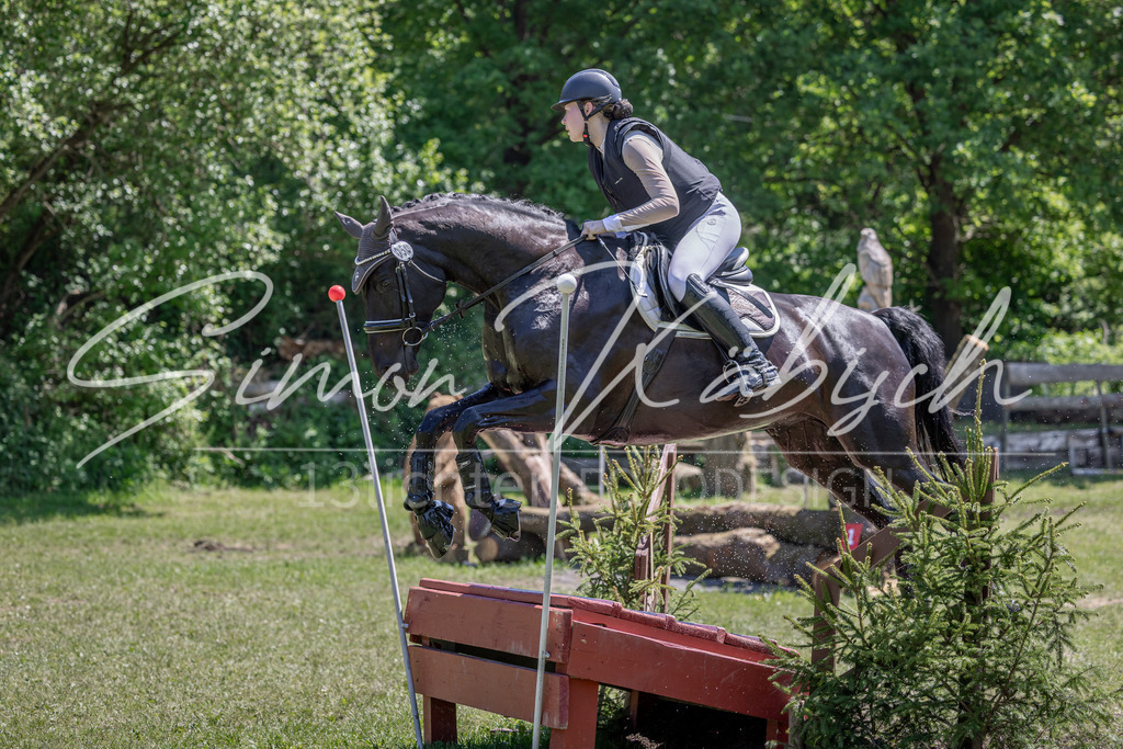 20260523-_3LI8420 | Tierfotografie Pferde, Hunde, Katzen, Haustiere.
Turnierfotografie Reitturniere, Reiten, Springreiten, Dressur in Hanau, dem Main-Kinzig-Kreis und dem Rhein-Main- Gebiet um Frankfurt