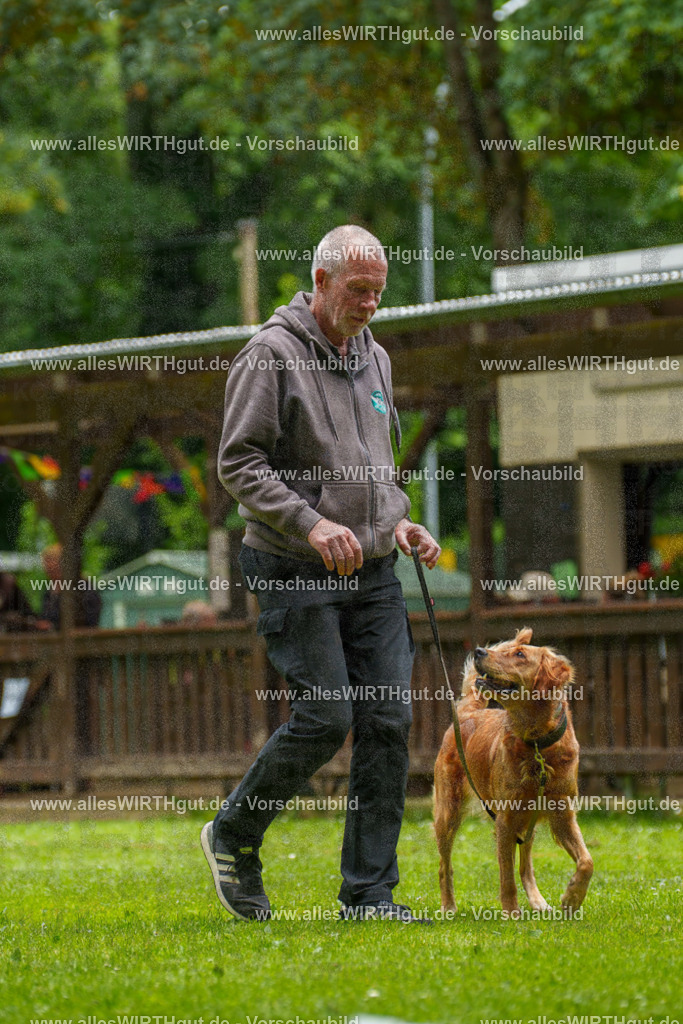 @allesWIRTHgut_Tierfotografie - www.allesWIRTHgut.de - 125812-7R509608 | Professionelle Tierfotografie in Mönchengladbach von Daniel Wirth (allesWIRTHgut). Liebevolle & natürliche Bilder von Hunden & Katzen für unvergessliche Erinnerungen.