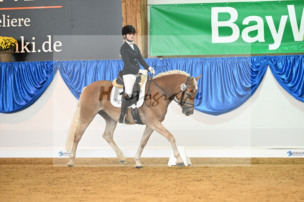 Kat-Nr. 214 Stacy D_Duening_54221925 | hf-fotografie - Realisiert mit Pictrs.com