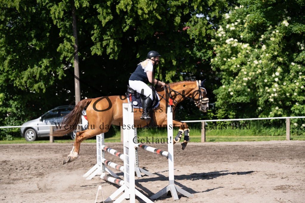 A7V03504 | Pferdefotograf