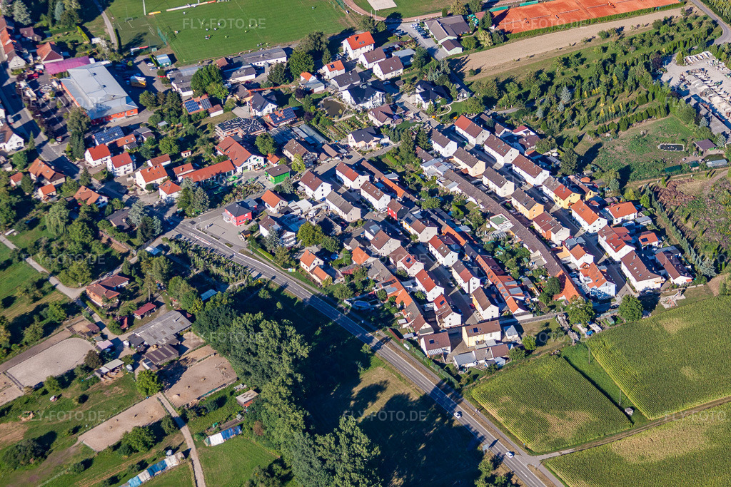 Luftbild: Stadtteil Hopfenweg im Stadtgebiet im Ortsteil Liedolsheim in Dettenheim im Bundesland Baden-Württemberg in Deutschland. Foto: IMG_51774.jpg vom 18.08.2012 durch Werner Riehm/FLY-FOTO.de