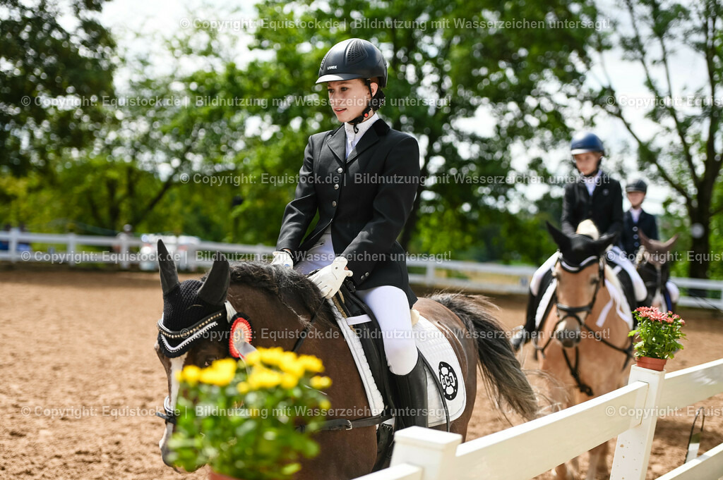 20230716_10-2_Reiter-WB Schritt - Trab - Galopp_0217 | equistock