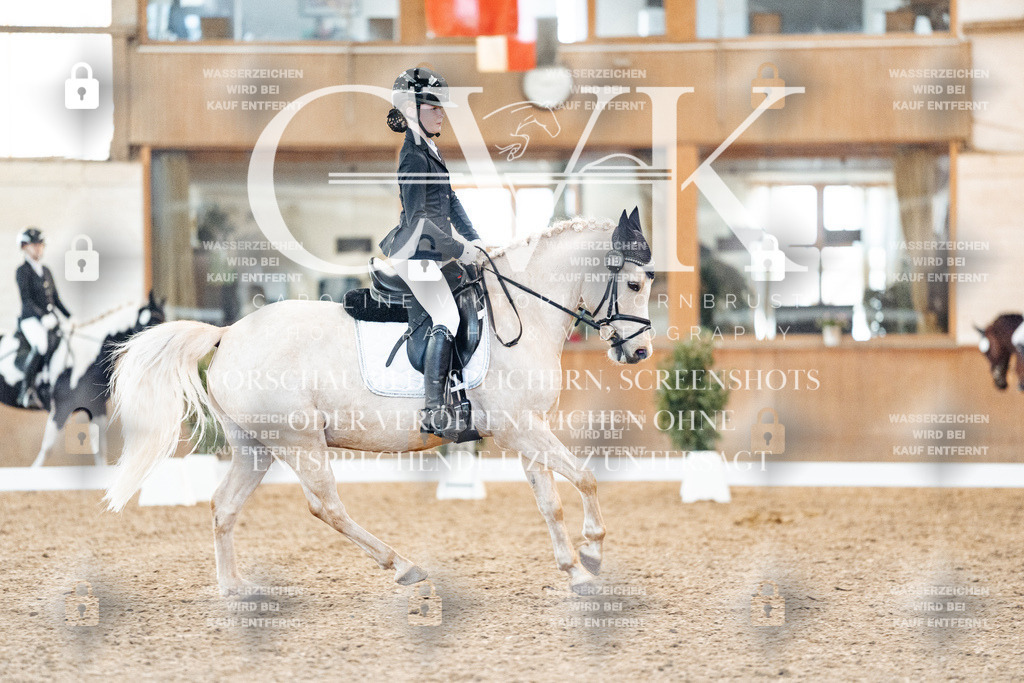 CK907526 | Turnierfotografie Pferdefotografie Trier Rheinland-Pfalz Pferdesport Reitsport Tierfotografie Sportfotografie Pferdevideo Pferdevideografie Equestrianvideography equestrianphotography  - Realisiert mit Pictrs.com