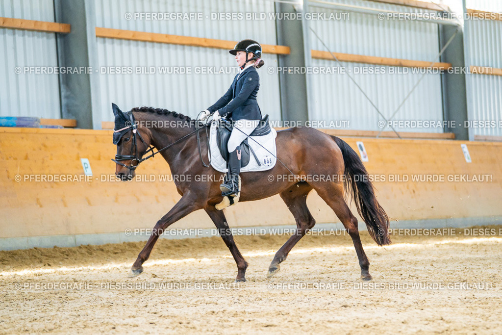 DSC07298 | Pferdegrafie