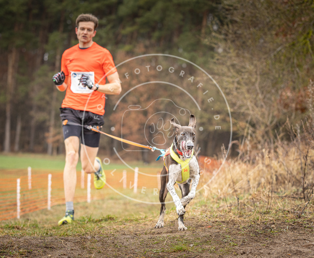 DV3A0208 | Hundefotografie, Tierfotograf, Pfotenfotografie, Fotoshooting Hund, Hunde Portrait, Hundesport, Hundeportraits, Heideshooting, Hunde, Sportfotograf, Hundefotograf, Turnierhundsport, THS,  - Realisiert mit Pictrs.com