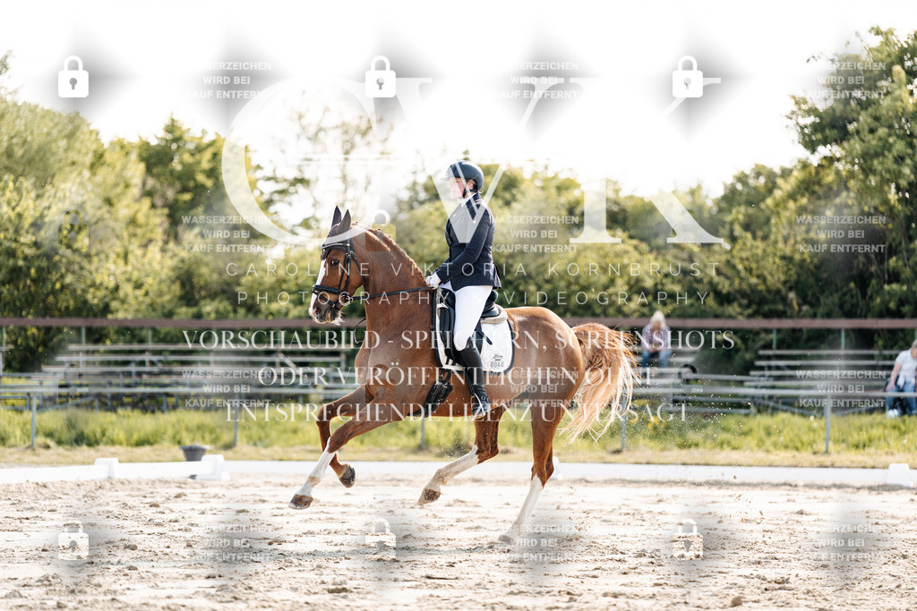 CK909349 | Turnierfotografie Pferdefotografie Trier Rheinland-Pfalz Pferdesport Reitsport Tierfotografie Sportfotografie Pferdevideo Pferdevideografie Equestrianvideography equestrianphotography  - Realisiert mit Pictrs.com