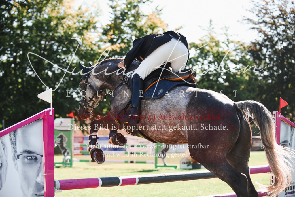 DSC_2361 | Pferde- und Turnierfotografie in Westsachsen. Pferdeportraits, Auftragszeichnungen und intuitive Kunst.