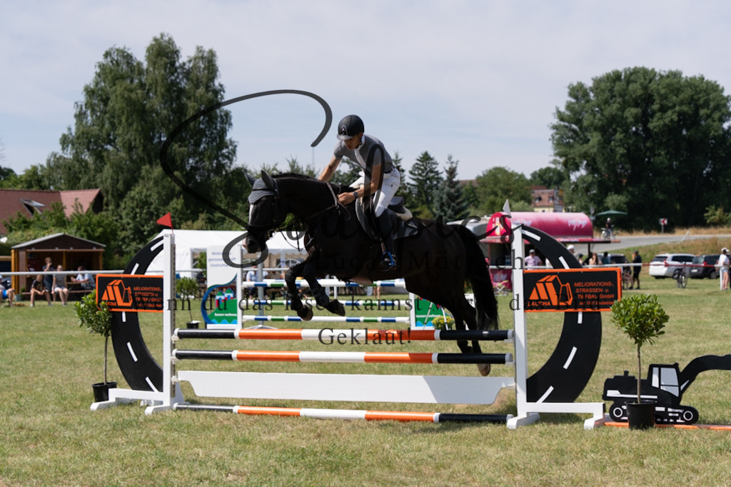 A7V01766 | Pferdefotograf