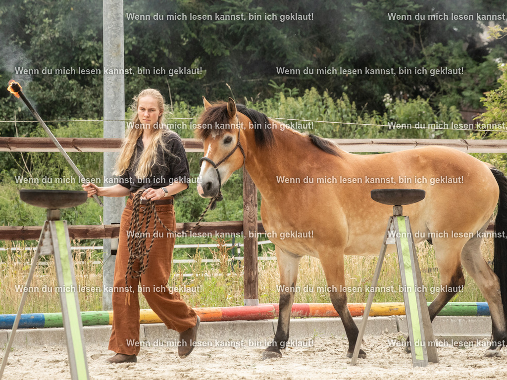 598A7705 | photographylinaismer - Realisiert mit Pictrs.com