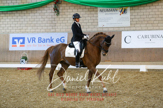 IMG_2936 | Turnierfotos kaufen im Webshop von Daniel Kuhl Photography – entdecke professionelle Reitsportfotos aus Turnieren & Events. Hochwertige Turnierbilder online bestellen & sichern. Jetzt Fotos von Reitsportturnieren kaufen!