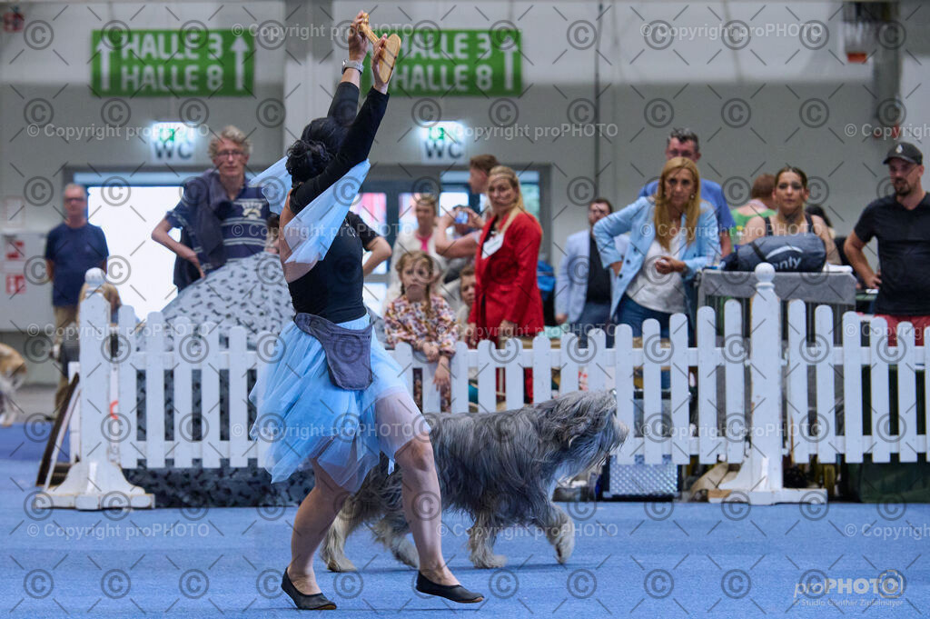 202406_ÖKV-IHA-Tulln24_DSC_5285 | proPHOTO - Realisiert mit Pictrs.com