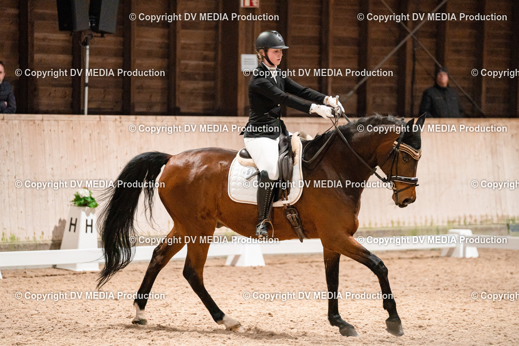 Dressur Tag 1 -413 | dv-media-shop - Realisiert mit Pictrs.com