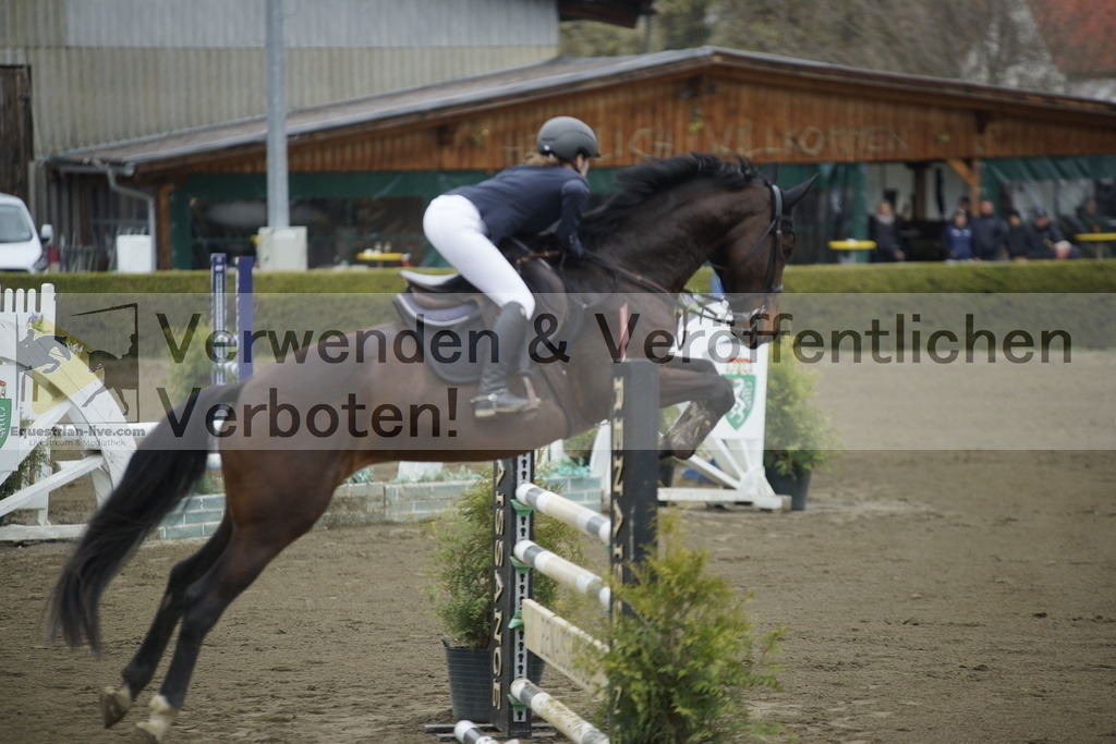 _DSC7111 | equestrian-live-com