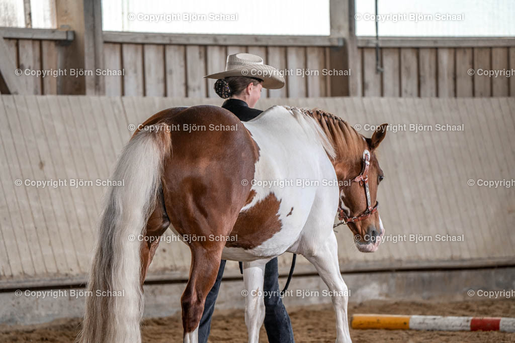 SBS02717 | BS-foto