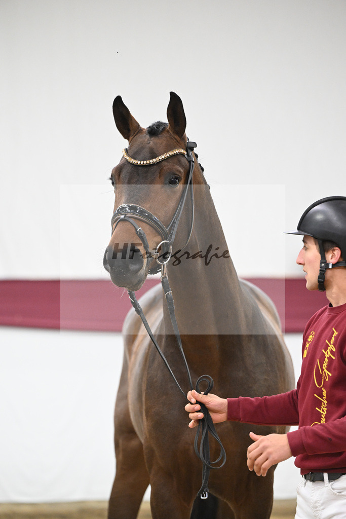 Kat-Nr. 123 Elastic x Belissimo M_Limbecker GnbH u Co. KG_47254053 | hf-fotografie - Realisiert mit Pictrs.com