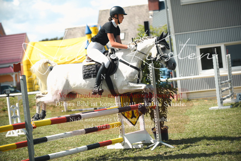 DSC_6539 | Pferde- und Turnierfotografie in Westsachsen. Pferdeportraits, Auftragszeichnungen und intuitive Kunst.