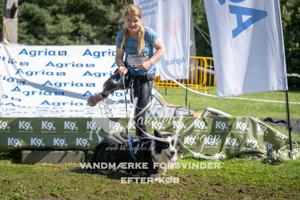 1133_ZZ92570 | kk-dogfotos