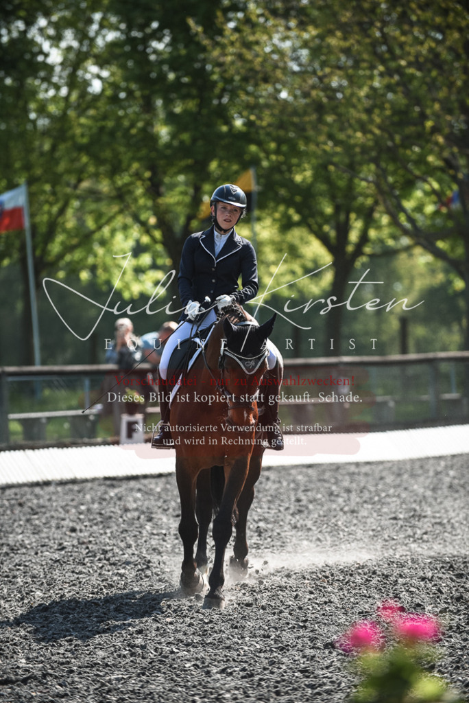DSC_8894 | Pferde- und Turnierfotografie in Westsachsen. Pferdeportraits, Auftragszeichnungen und intuitive Kunst.