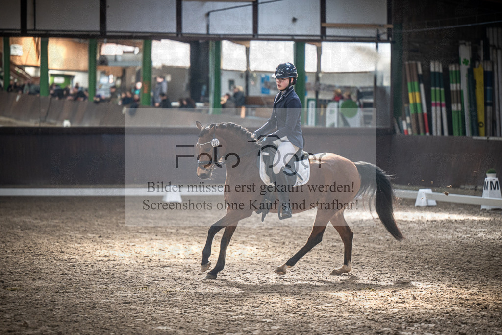 DOS_1095 | Entdecke hochwertige Reitturnierfotos von Foto Oger. Professionell, emotional und authentisch – jetzt Lieblingsmomente im Shop bestellen.Deutschlandweite Turnierfotografie. - Realisiert mit Pictrs.com