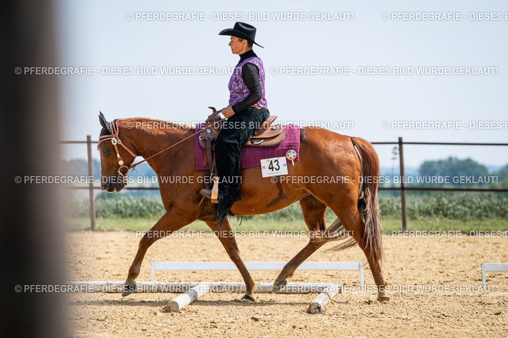 DSC00262 | Pferdegrafie