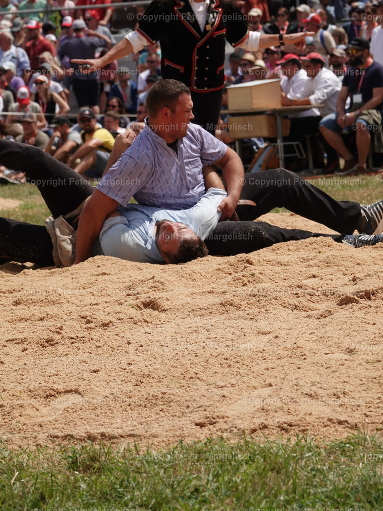 DSC05008 | Schwingen - Realisiert mit Pictrs.com